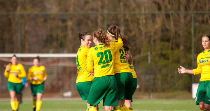 Saestum uit: Rimke stelt zich voor