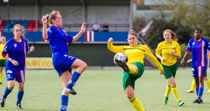 Dames verliezen bij Btv