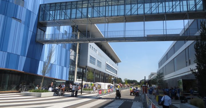 Schouders onder Fortuna: het plan